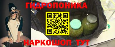 гашик Лесосибирск